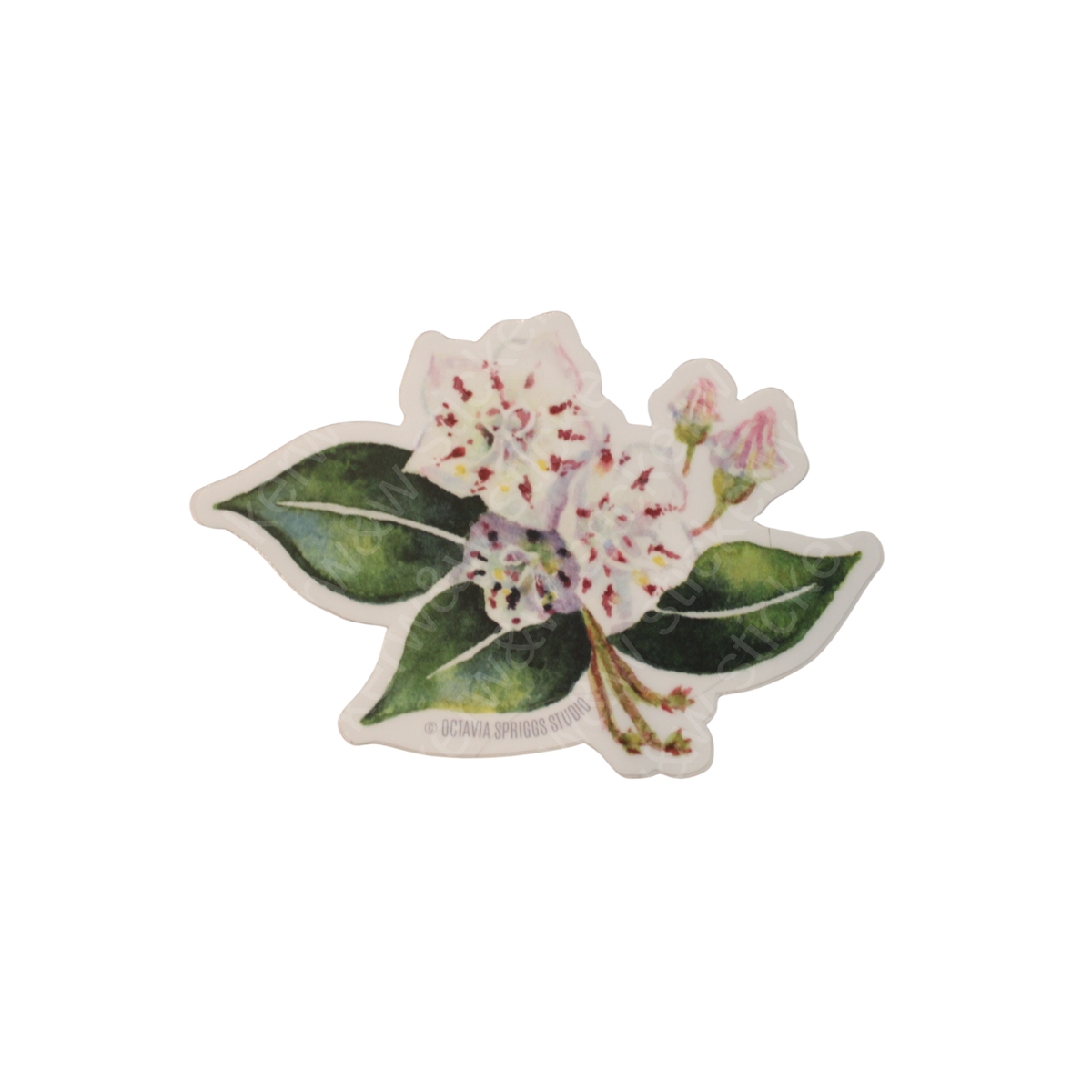 Mountain Laurel Sticker