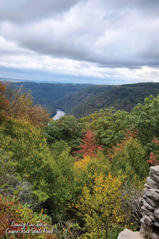 24x36 Poster: County Line Drive Coopers Rock State Park