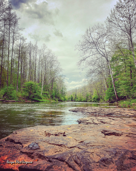 16x20 Poster: Bergoo West Virginia